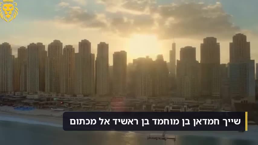טייל 7